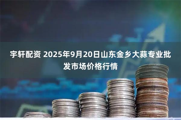 宇轩配资 2025年9月20日山东金乡大蒜专业批发市场价格行情