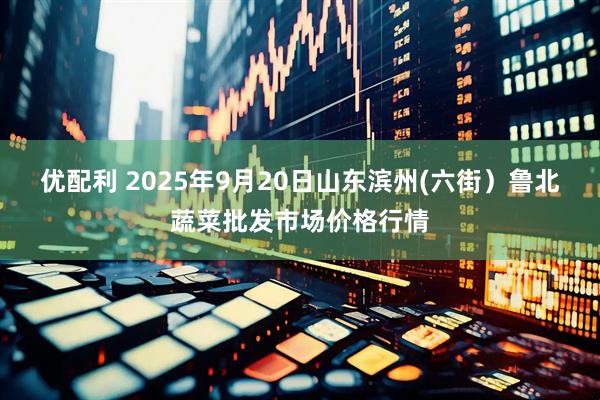 优配利 2025年9月20日山东滨州(六街）鲁北蔬菜批发市场价格行情