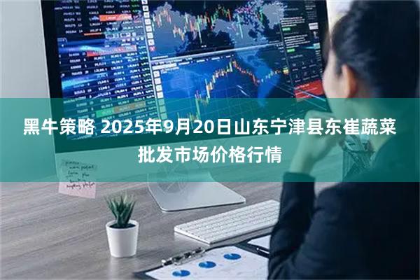 黑牛策略 2025年9月20日山东宁津县东崔蔬菜批发市场价格行情