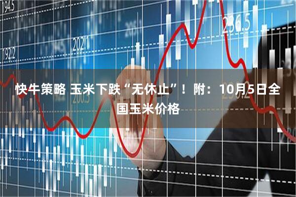 快牛策略 玉米下跌“无休止”！附：10月5日全国玉米价格