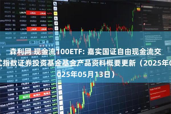 森利网 现金流100ETF: 嘉实国证自由现金流交易型开放式指数证券投资基金基金产品资料概要更新（2025年05月13日）