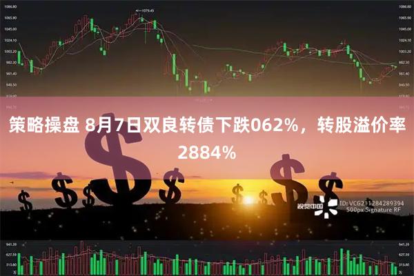 策略操盘 8月7日双良转债下跌062%，转股溢价率2884%